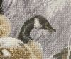 IMG_6498.thumb.jpeg.c21760e4bbd6b860d5e612b9a82351aa.jpeg