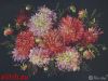IMG_6827.thumb.jpeg.30173bd070d71e57e520ccbfaf8767b7.jpeg