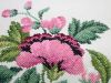 10.thumb.jpg.014c017da79fabc5a96ed655c6f556b3.jpg