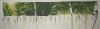 1057850684_1..thumb.JPG.c964ba216da3b990be965cde3924764a.JPG