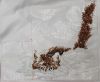 20220305_000853.jpg