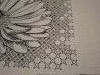 20250904_083718.jpg