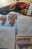 20250910_190710.thumb.jpg.863bf250cd7914e8bbc6184f4998051a.jpg