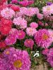 20250921_105804.thumb.jpg.53d8028a7dd657cb12be0409e9f4b15e.jpg