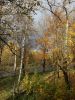 20251011_135753.thumb.jpg.ae05a2db88257122d6cbed5eca6936c7.jpg