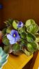 20251017_063111.thumb.jpg.7b79caad030c54c7fa844489b885846a.jpg
