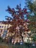 20251017_125731.thumb.jpg.8dd0c244accb2a4a403772eb203b0a9c.jpg