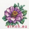 RTO H248, Цинния, ПОДБОР