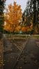 40049.thumb.jpg.b8ccbacf35eb07831395cc510da84d94.jpg