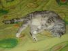 DSC09456.thumb.JPG.41954e6be9467d10c6d62eb7722b2973.JPG