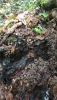 IMG-20251015-WA0033.thumb.jpg.07462458a4303a4e99874428ed2b0ded.jpg