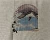 IMG-20251020-WA0017.thumb.jpg.7990b82f28ec034193257536b0e99af8.jpg