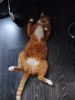 IMG20251018085331.thumb.jpg.e40a7fa831b673a0bf3f8a792a83e0a7.jpg