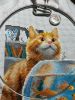 IMG_0225.jpeg