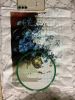 IMG_1085.jpeg