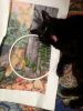 IMG_20230825_195215.thumb.jpg.6b51ae6cca987bf01eb559c854babafc.jpg