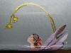 IMG_20250723_204027.thumb.jpg.00515eb5c9f2a0e2a973d89d4b0ee93c.jpg