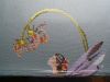 IMG_20250724_235203.thumb.jpg.c4a18ef01564bc6a0cbf8343ab689569.jpg
