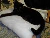 IMG_20250922_211243.thumb.jpg.e3a0f169dfaf85f7c7047f32e0878034.jpg
