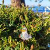 IMG_20251004_075049.thumb.jpg.d9845375a3dcc2ac5c51c0a89c3ee806.jpg