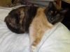 IMG_20251005_190625.thumb.jpg.bb0004c71fcec827eb0ea2abaf93b4f1.jpg