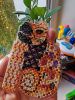 IMG_20251006_095959.thumb.jpg.be89c1e86fa3ffdbd577df5e7f9261a8.jpg