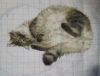 IMG_20251007_181432.thumb.jpg.b81ed4d02d80427cbb87140693febe99.jpg