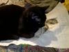 IMG_20251008_194426.thumb.jpg.7f3134bc3d9c59b61f50d75bc759c1c6.jpg