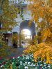 IMG_20251012_145124.thumb.jpg.cf0ae6d6b500e615206dc1a0d8ce471c.jpg