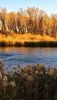 IMG_20251013_201906_878.thumb.jpg.6599504db564b4ea4b6ceb7cbe386fad.jpg