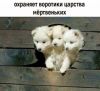 IMG_20251014_185854.thumb.jpg.d5ce099efdf4a11b9458883a4f05e07c.jpg