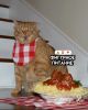 IMG_20251014_190151.thumb.jpg.87fc24a1085aa1a49d3262c95b3b2ce0.jpg
