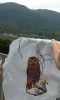 IMG_20251019_100204.thumb.jpg.c3eb604ddbfe3c7198301c72ae18dbd9.jpg