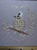 IMG_2484.thumb.jpeg.abb75afb7f611f11c757c6d4c1f027c3.jpeg
