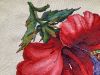 IMG_3119.thumb.jpeg.19f72dcdbaa1575f7d389a72a8ed8383.jpeg