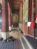 IMG_5429.jpeg