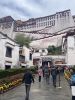 IMG_5442.jpeg