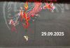 TD-20250929-18076.thumb.jpg.46d2f9c93cb7e81e82db4432ef43f065.jpg