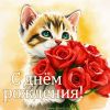 birthday-1367.thumb.jpg.7fa77c88a355597655f5609f3356ba31.jpg