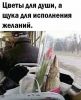 gXhul7bUM3cSwsMvoFQRKMsTIHS59MFVIGzMPnmZjSOmesE9JK-_kWYVMHEKwbIMtnffkVD6_5IrNgf1sJ-uySx1.thumb.jpg.b400a95838dec6c0639a45540dee6f66.jpg