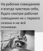 ialEBiIJbOs.thumb.jpg.9ceb4bc0effc060a04c52219a687e3bc.jpg