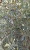 1496623091_IMG_20251116_121012(1).thumb.jpg.c04afadd56dfc948ee760ebe6bc5d222.jpg