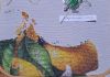 20251023_140603.thumb.jpg.de8af7de49fa2bfaba91d61ffb0d1095.jpg