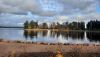 20251029_151354.thumb.jpg.6cf42a0715207d7370b76b564ed1b215.jpg