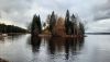 20251029_155223.thumb.jpg.c14e084cfc7b8d7628ed266c2113d4ed.jpg