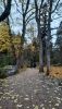 20251029_155518.thumb.jpg.948d29718cf60162aa4ddb49f0572445.jpg