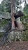 20251029_160014.thumb.jpg.7fbf1c3b0ee95b4d7aa5df57dc46bc91.jpg