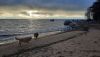 20251101_153110.thumb.jpg.f3eccb74eb5da061101de3277b8db114.jpg