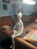 20251120_201442.thumb.jpg.b26cfd878129d3f8e1633709ca8b41dd.jpg