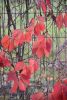 DSC_8694.thumb.JPG.13197e394b38d9bc81869f1babc2bbe9.JPG
